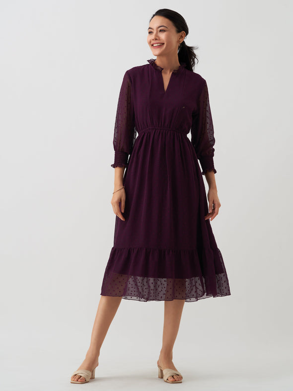 Women Chiffon Dobby Fit & Flare Dress