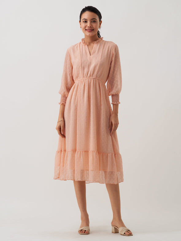 Women Chiffon Dobby Fit & Flare Dress