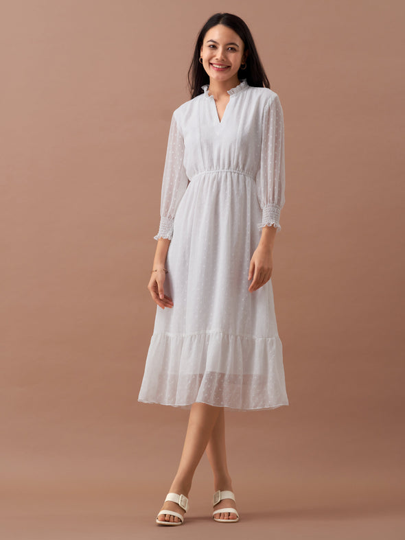 Women Chiffon Dobby Fit & Flare Dress