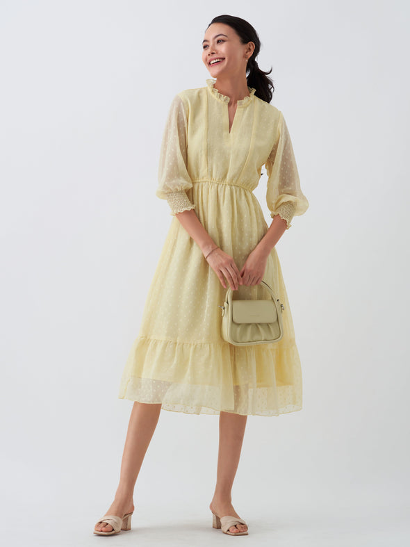 Women Chiffon Dobby Fit & Flare Dress