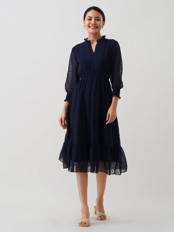 Women Chiffon Dobby Fit & Flare Dress