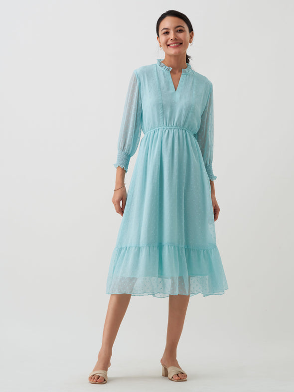 Women Chiffon Dobby Fit & Flare Dress