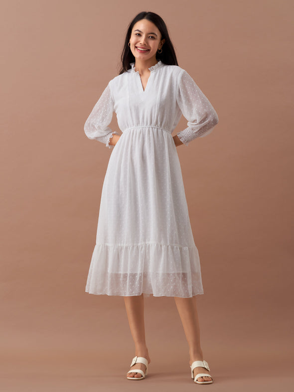 Women Chiffon Dobby Fit & Flare Dress