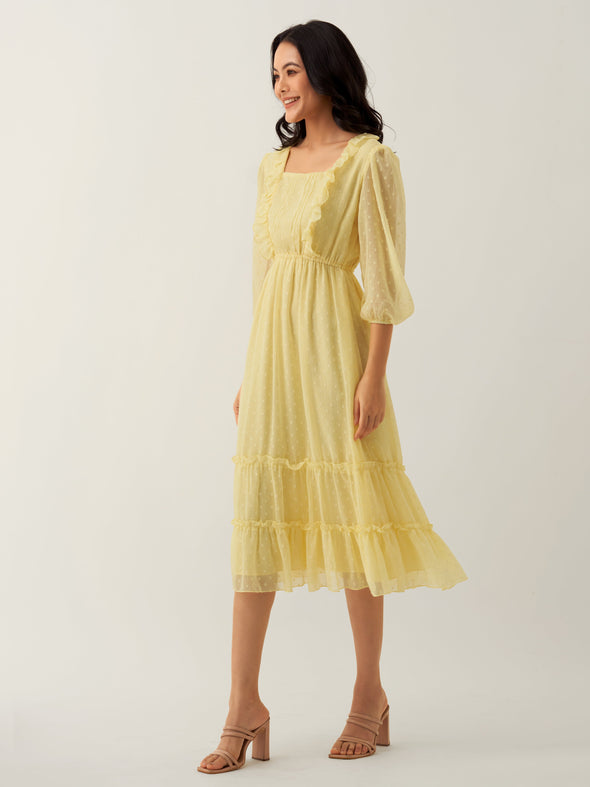 Chiffon Dobby Fit & Flare Dress For Women