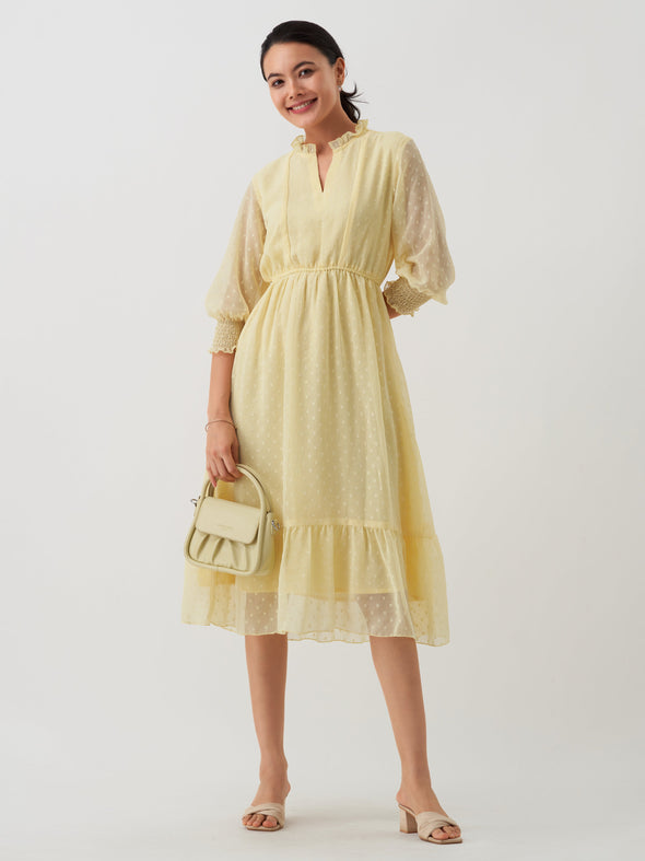 Women Chiffon Dobby Fit & Flare Dress