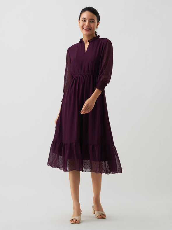 Women Chiffon Dobby Fit & Flare Dress