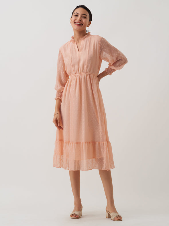 Women Chiffon Dobby Fit & Flare Dress