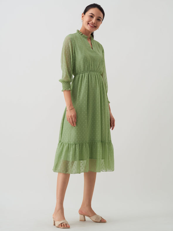 Women Chiffon Dobby Fit & Flare Dress