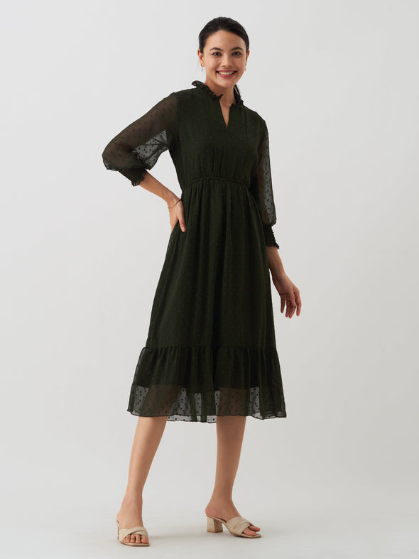 Women Chiffon Dobby Fit & Flare Dress