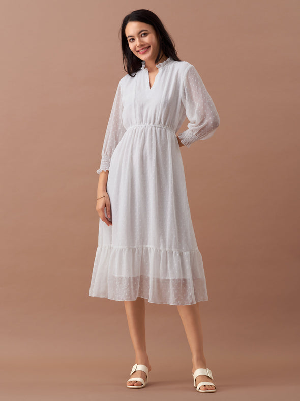 Women Chiffon Dobby Fit & Flare Dress