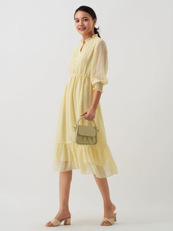 Women Chiffon Dobby Fit & Flare Dress