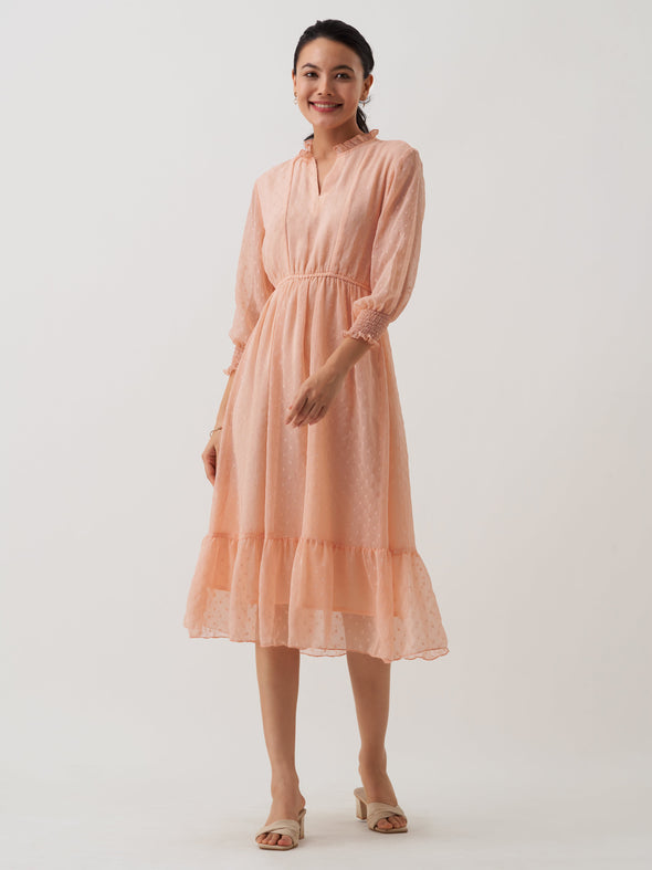 Women Chiffon Dobby Fit & Flare Dress