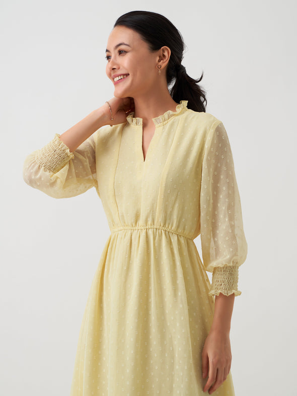 Women Chiffon Dobby Fit & Flare Dress