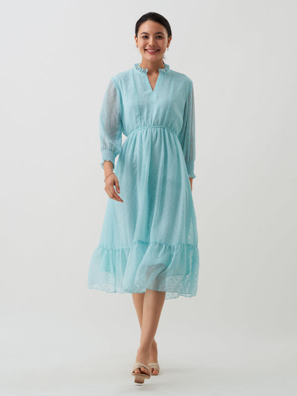 Women Chiffon Dobby Fit & Flare Dress