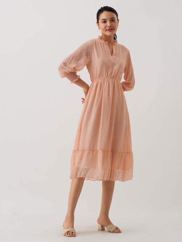 Women Chiffon Dobby Fit & Flare Dress