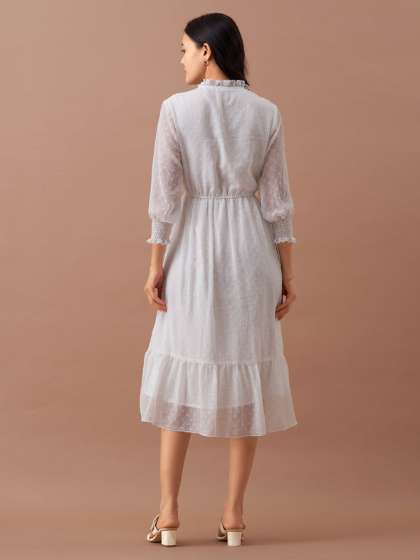 Women Chiffon Dobby Fit & Flare Dress