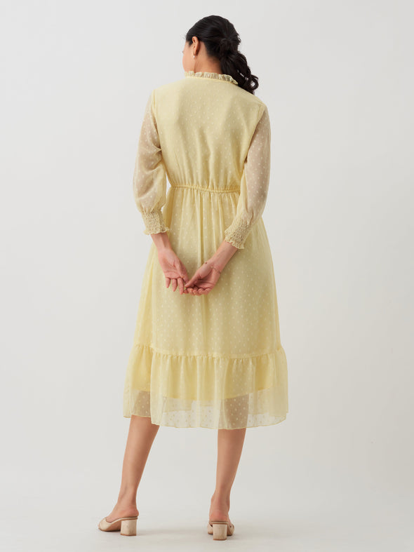Women Chiffon Dobby Fit & Flare Dress