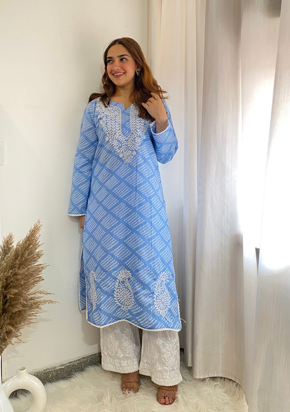 Elham Chikankari Mulmul Straight Kurta