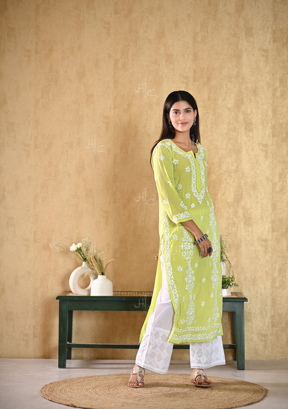 Aiza Chikankari Modal Straight Kurta