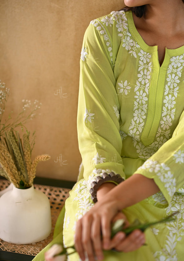 Aiza Chikankari Modal Straight Kurta