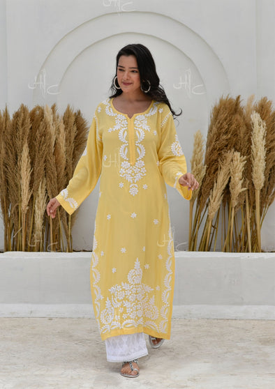 Hisana Chikankari Modal Straight Kurta