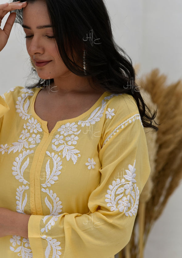 Hisana Chikankari Modal Straight Kurta
