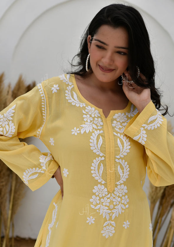 Hisana Chikankari Modal Straight Kurta
