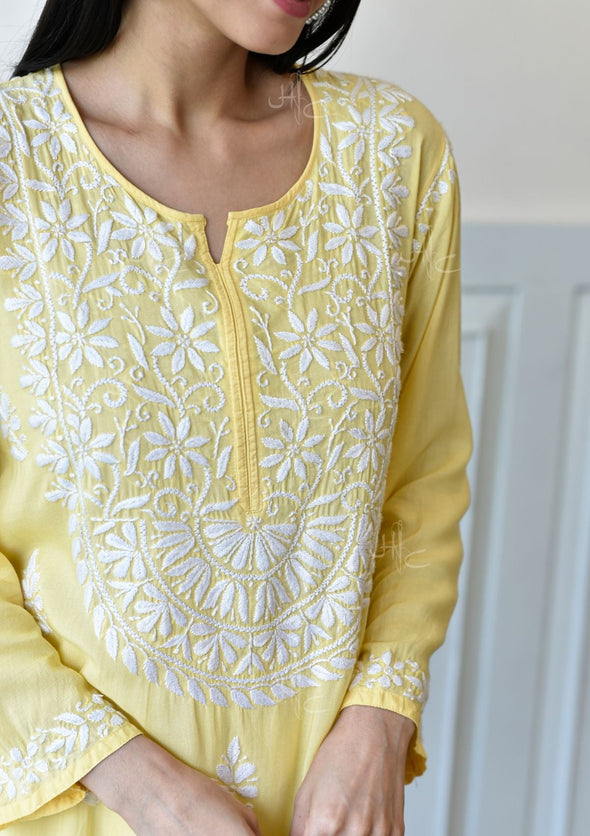 Bahira Chikankari Modal Straight Kurta