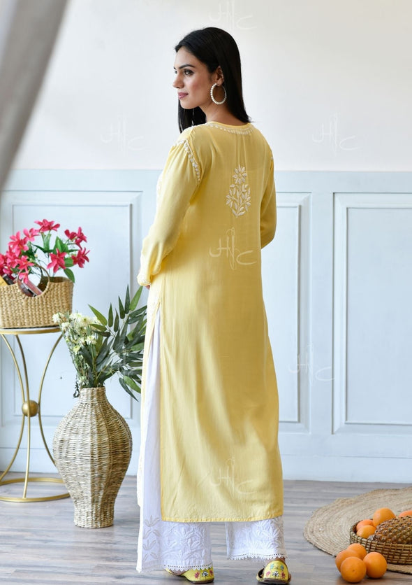 Bahira Chikankari Modal Straight Kurta