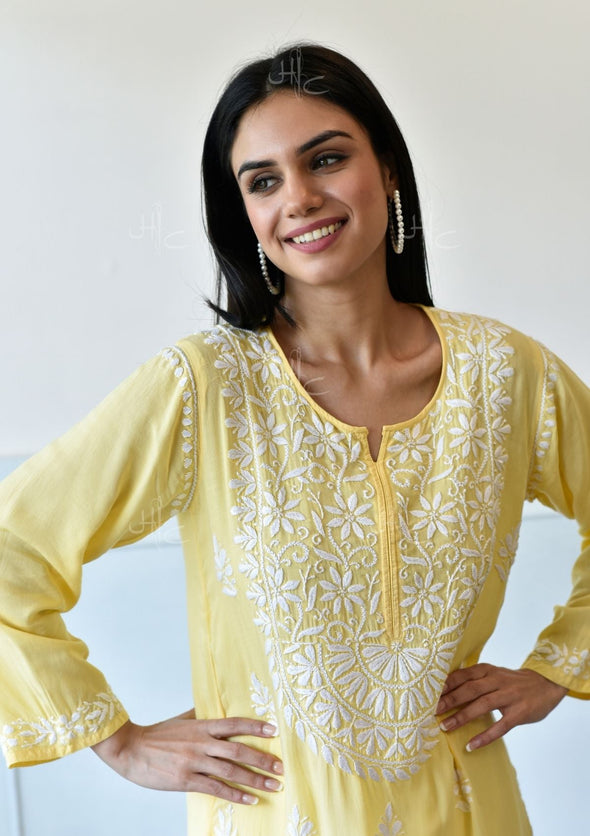 Bahira Chikankari Modal Straight Kurta