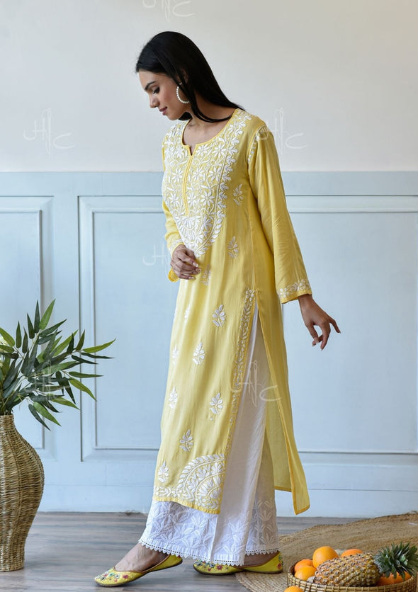 Bahira Chikankari Modal Straight Kurta