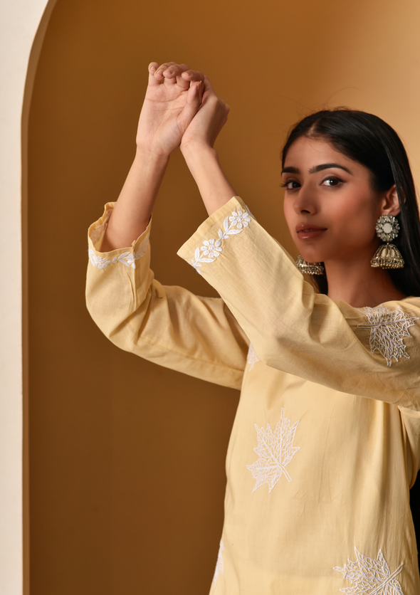 Adib Chikankari Cotton Straight Kurta