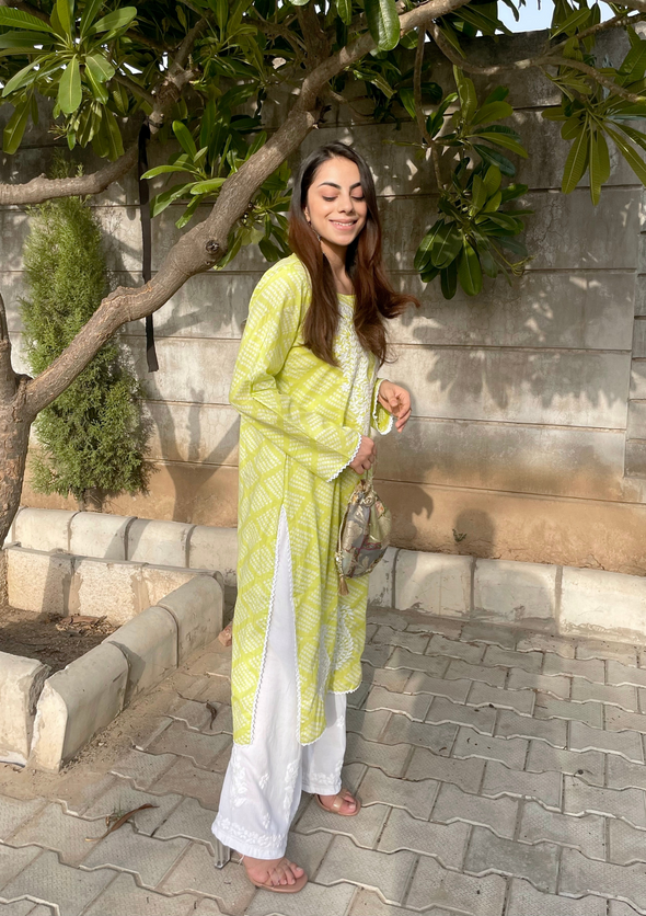 Elham Chikankari Mulmul Straight Kurta