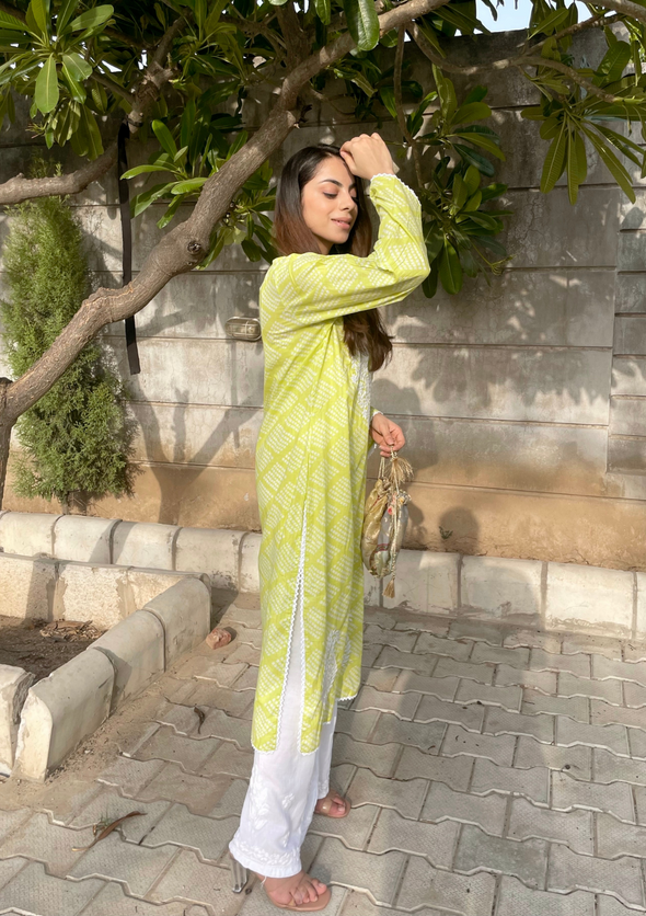 Elham Chikankari Mulmul Straight Kurta
