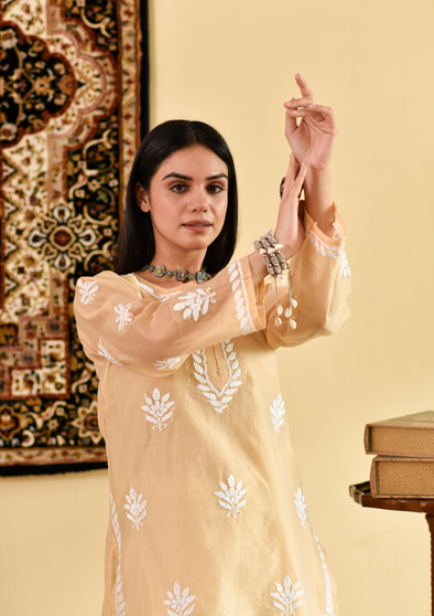 Mubina Chikankari Chanderi Straight Kurta